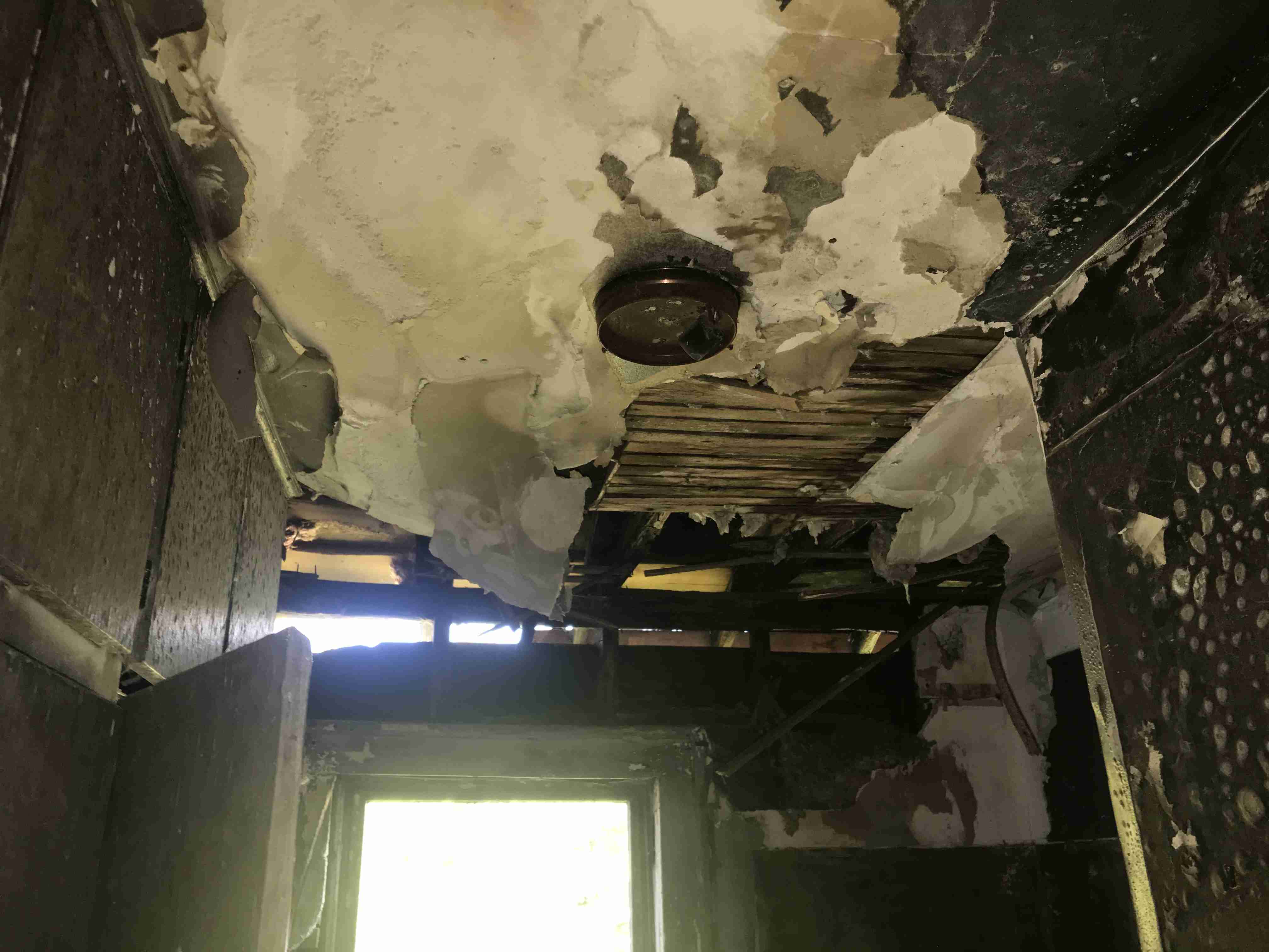 Photo Aug 21, 1 50 23 PM.jpg